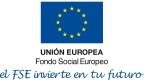 logo fse